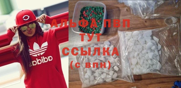 PSILOCYBIN Магас