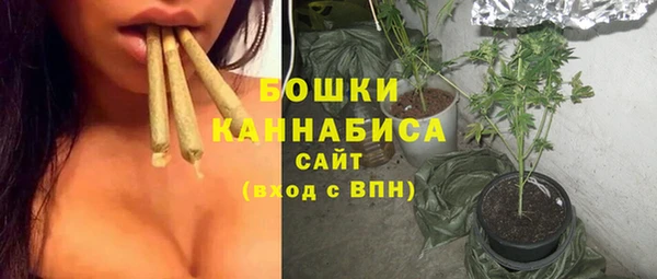 PSILOCYBIN Магас