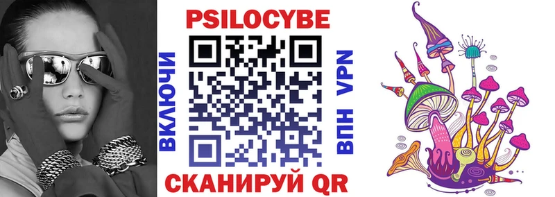 Псилоцибиновые грибы Psilocybine cubensis  Жирновск 